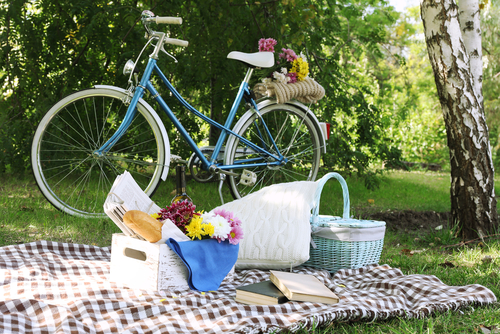 Bike picnic